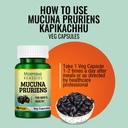 morpheme-remedies-mucuna-pruriens-kapika-61WaTy4pGFL.jpg