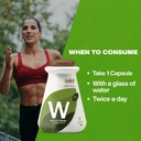 myfitfuel-wheat-grass-extract-10-1-500mg-61POzwlQaqL.jpg
