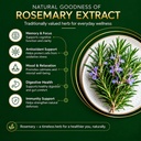 rosemary-leaf-extract-supplement-veg-cap-71ND7ceFLsL.jpg