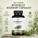 rosemary-leaf-extract-supplement-veg-cap-71naDYkG0GL.jpg