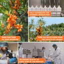 nutriorg-seabuckthorn-juice-500ml-and-am-71swvmNXEUL.jpg