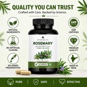 rosemary-leaf-extract-veg-capsules-herba-71IQjLnn51L.jpg