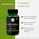 moringa-oleifera-powder-vitamin-c-wellne-61kPS7HYnhL.jpg