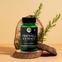 moringa-oleifera-powder-triphala-wellnes-61kvWlua52L.jpg
