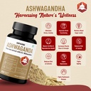 ashwagandha-tablets-with-5-withanolides--71p0KCvWhbL.jpg