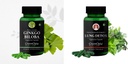 ginkgo-biloba-lung-detox-wellness-daily--51rLcqAGb2L.jpg