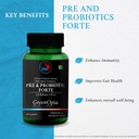 flax-seed-oil-pre-and-probiotics-forte-w-61hKZS4HILL.jpg