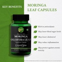 glucosamine-msm-tablets-moringa-oleifera-61k3vWAxvuL.jpg