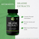brahmi-multivitamins-for-men-wellness-da-61Tqt-2z5KL.jpg