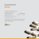 liposomal-vitamin-c-supplement---enhance-2.jpg