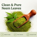 naturals-organic-dried-neem-leaves-100g--81LAOvHOeBL.jpg