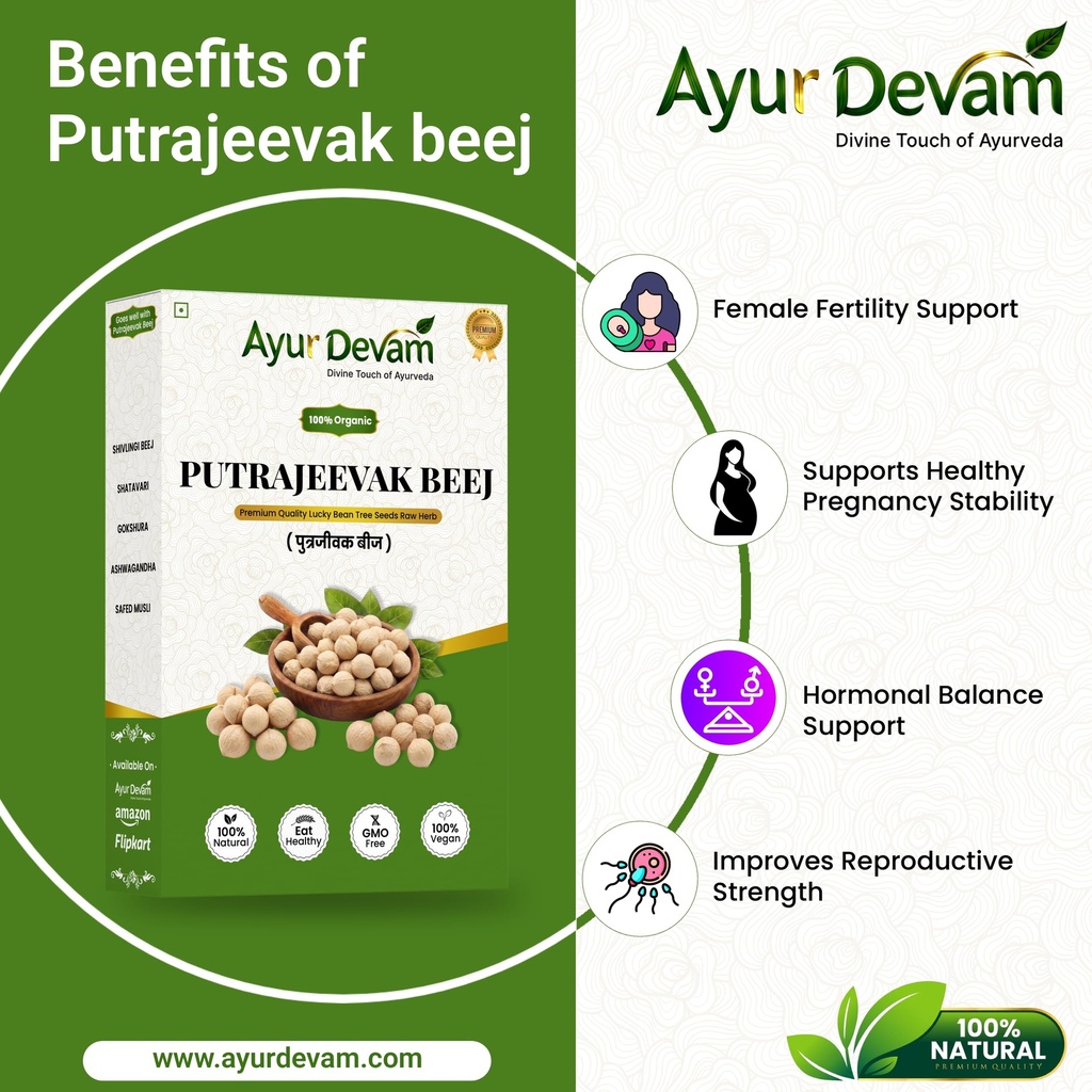 putrajeevak-beej-putrajivak-seed-putriji-91Gm1IjfT-L.jpg