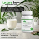 lactase-enzyme-60-vegetarian-capsules-90-61Gwxc8PSKL.jpg