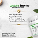 lactase-enzyme-60-vegetarian-capsules-90-61GOrzZ-P9L.jpg