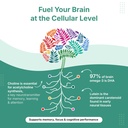 veg-omega-vegan-algal-dha-triglyceride-f-81aRuroq6oL.jpg