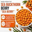 sea-buckthorn-oil-softgels-1000mg-omega--71URAP2-MZL.jpg