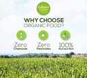 gropure-organic-hemp-hearts-250g-toasted-71HVCQYWXDL.jpg