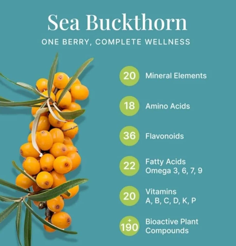 genzzi-box-himalayan-sea-buckthorn-berri-51FKULdkIaL.jpg