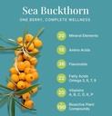 genzzi-box-himalayan-sea-buckthorn-berri-51FKULdkIaL.jpg