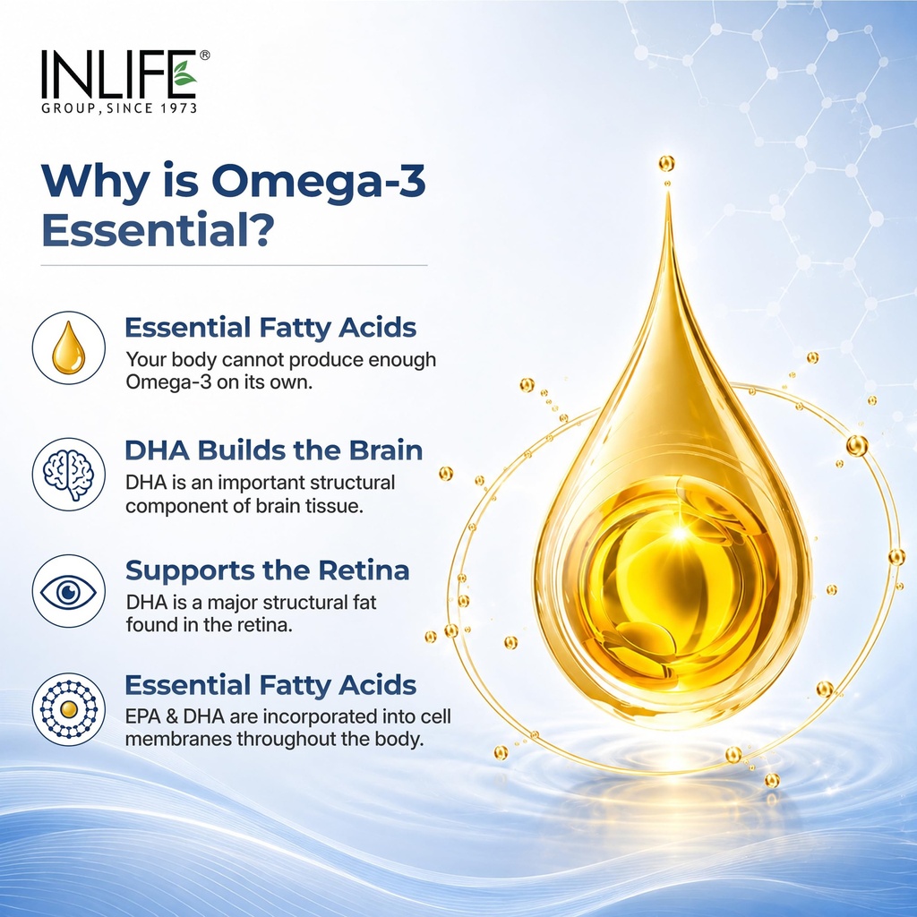 inlife-fish-oil-omega-3-supplement-1000m-81UKd3ppFkL.jpg