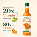 ayupax-healthcare-sea-buckthorn-juice-50-61UILdR1yEL.jpg