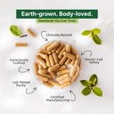 green-aura-sea-buckthorn-glow-capsules-3-71CV+Ci62sL.jpg
