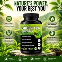 green-tea-extract-60-capsules-for-weight-71pSFZEpUGL.jpg