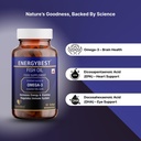 healthbest-energybest-fish-oil-30-softge-71I3UrWefzL.jpg