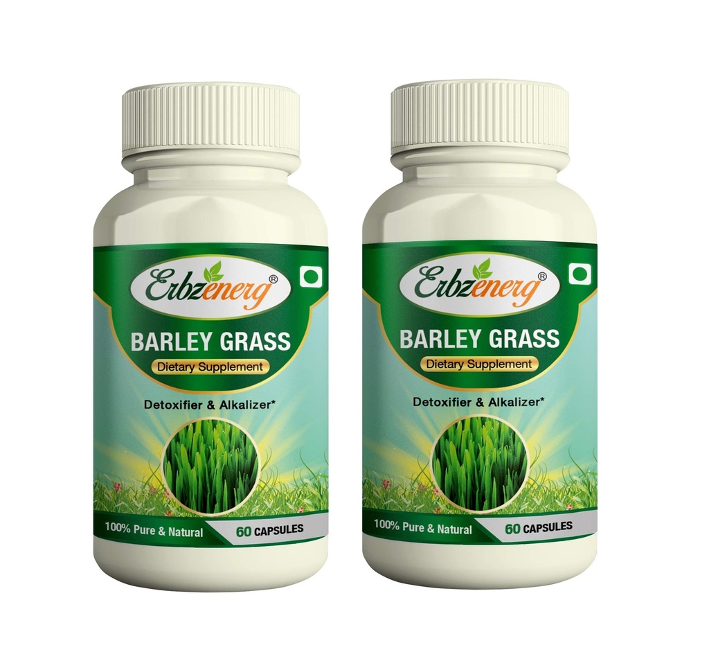 organic-barley-grass-hardeum-vulgare-60--81ze0A6oNCL.jpg