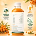 rahulife-naturals-sea-buckthorn-juice-50-81+bHZ1hK3L.jpg