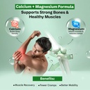 nveda-omega-3-fish-oil-calcium-magnesium-71aIhidm39L.jpg