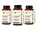 sea-buckthorn-oil-capsules-500mg-plant-b-71nEzxXBJAL.jpg
