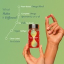 let-s-supp-daily-ritual-duo-triple-magne-71lH-gdFfbL.jpg