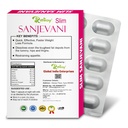 slim-sanjevani-capsules-reduce-extra-fat-611NHbriEzL.jpg