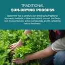spearmint-leaf-tea-helps-in-hormone-imba-61Si+7iAPQL.jpg