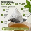 spearmint-leaf-tea-helps-in-hormone-imba-71FYoKEzLjL.jpg