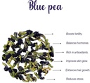 butterfly-pea-flower-tea-for-belly-fat-c-615jsKq4qVL.jpg