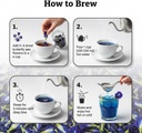 butterfly-flower-pea-tea-rosemary-herbal-61oEQMzXVVL.jpg