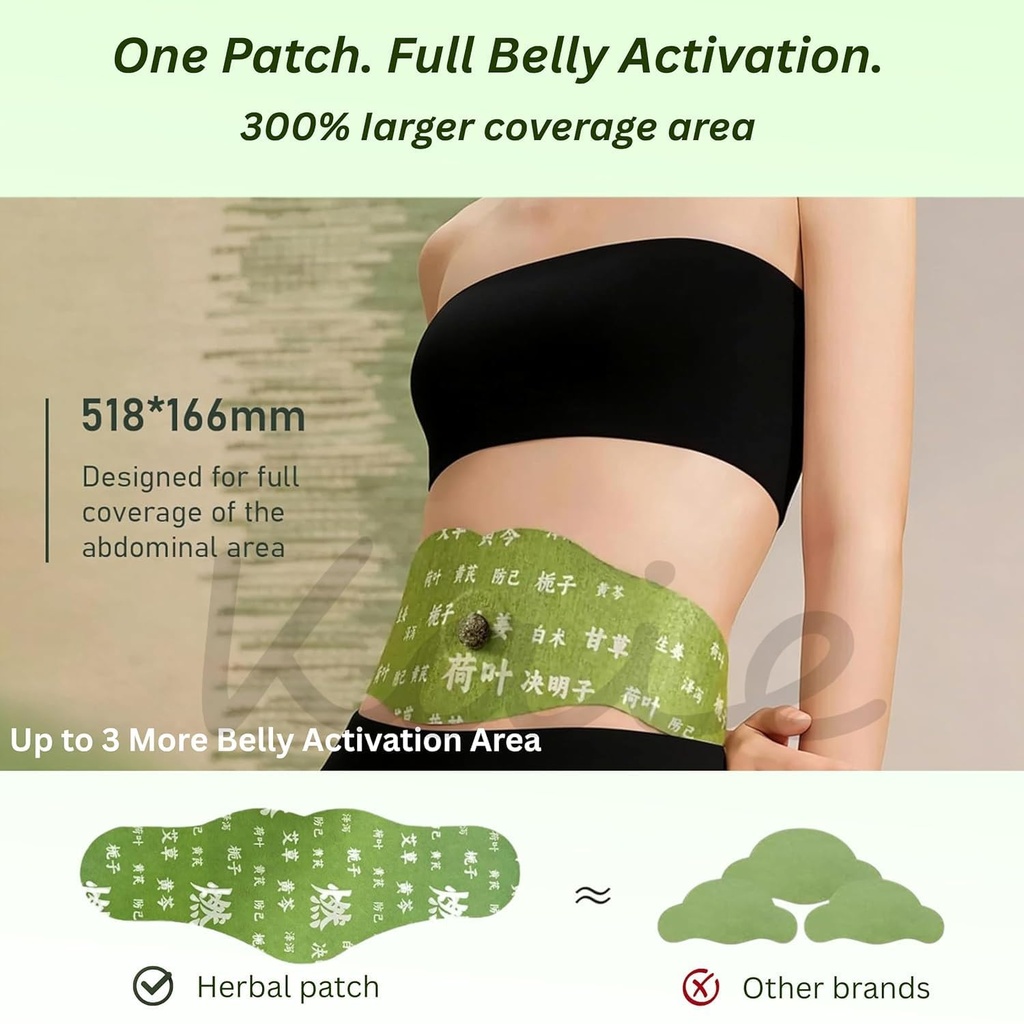 japanese-herbal-balance-patch-pack-of-5-716XjcK010L.jpg