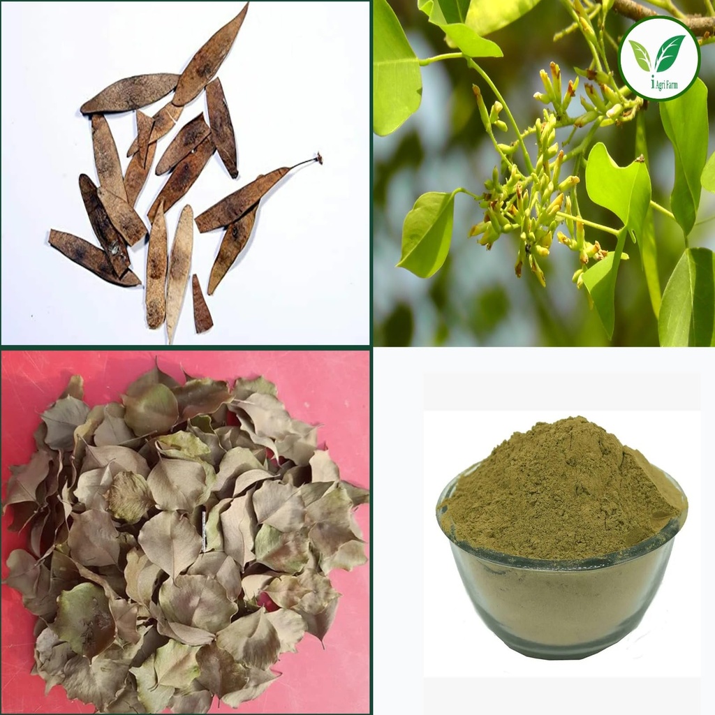 iagrifarm-natural-shisham-leaves-powder--71t3e-4clpL.jpg