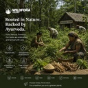 vidarikand-safed-whole-indian-kudzu-dios-81spONdAV8L.jpg