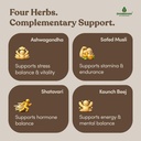 dharishah-ayurveda-josh-combo-ashwagandh-71sD0PjWp-L.jpg