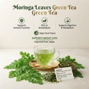 moringa-green-tea-with-moringa-leaf-veti-61or+DqS4bL.jpg
