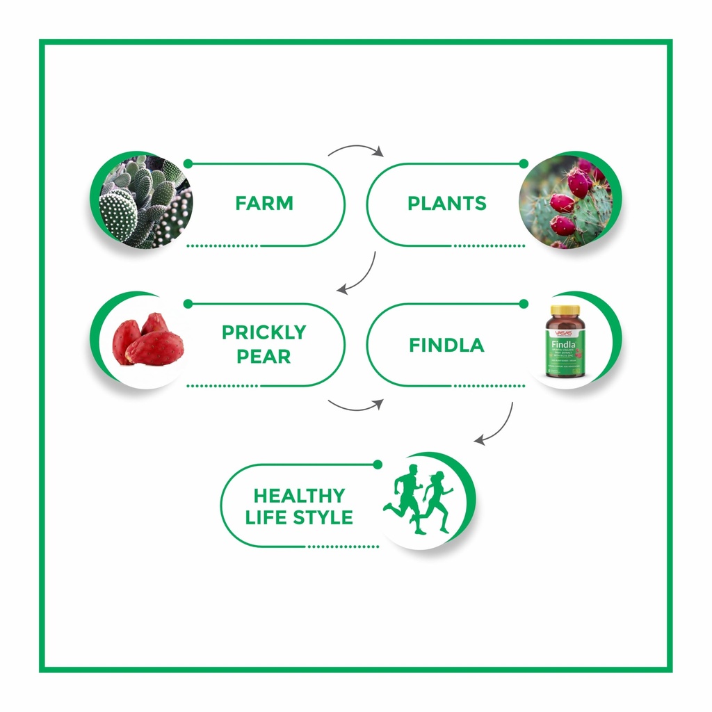 findla-prickly-pear-fruit-extract-capsul-71szQsu-HcL.jpg