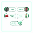 findla-prickly-pear-fruit-extract-capsul-71szQsu-HcL.jpg