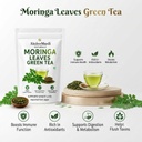 moringa-herbal-green-tea-aids-digestion--61TdQQCyPlL.jpg