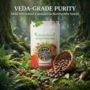 indianjadibooti-pure-karanjwa-beej-latak-81kgGNh047L.jpg