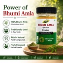 bhumi-amla-powder-churn-organic-and-pure-714qfYNKjyL.jpg
