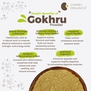 carmel-organics-gokhru-gokshura-tribulus-811uZ7ZV+xL.jpg