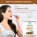 vegan-omega-3-pack-of-2-natural-nutritio-61+ZaQp47iL.jpg